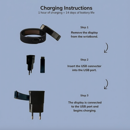 Bilbory's Silent Band